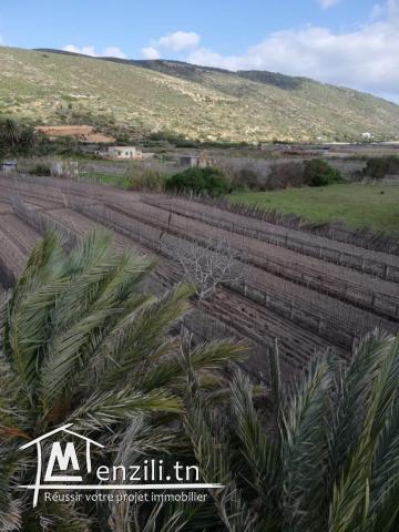 terrain a Ghar Elmelh