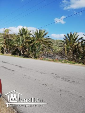 terrain a Ghar Elmelh