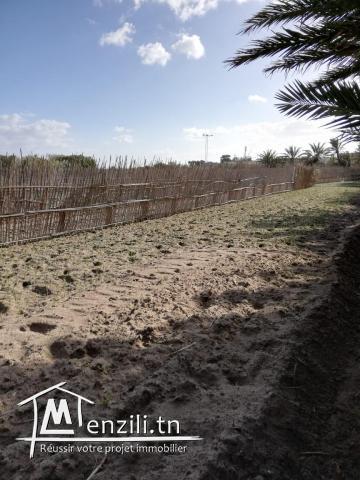 terrain a Ghar Elmelh