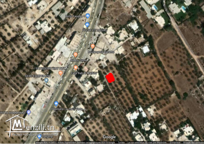 terrain de 367 m² à Hammamet sud
