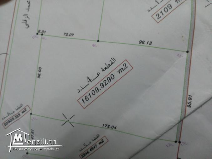 أرض فلاحية للبيع