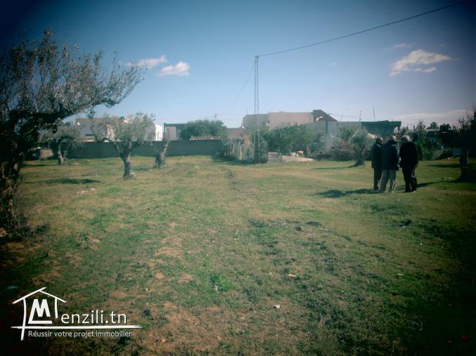 TERRAIN HAMMAMET SUD de 2000m2