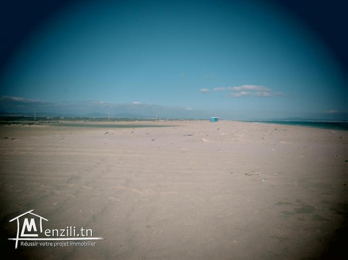 TERRAIN HAMMAMET SUD de 2000m2