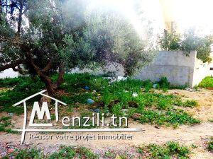 terrain 125m² à Birbouragba AD