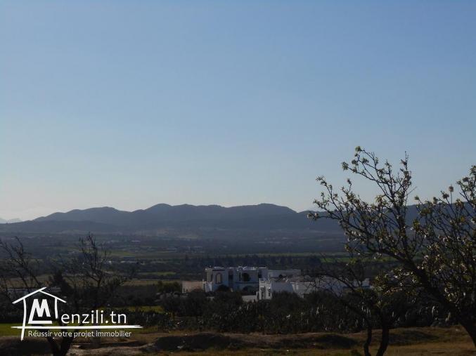A v un lot de terrain à menchar route sidi jdidi hammamet 23/3