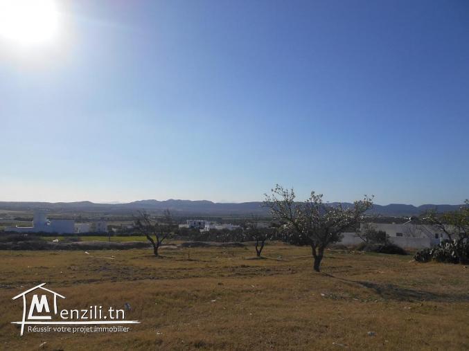 A v un lot de terrain à menchar route sidi jdidi hammamet 23/3