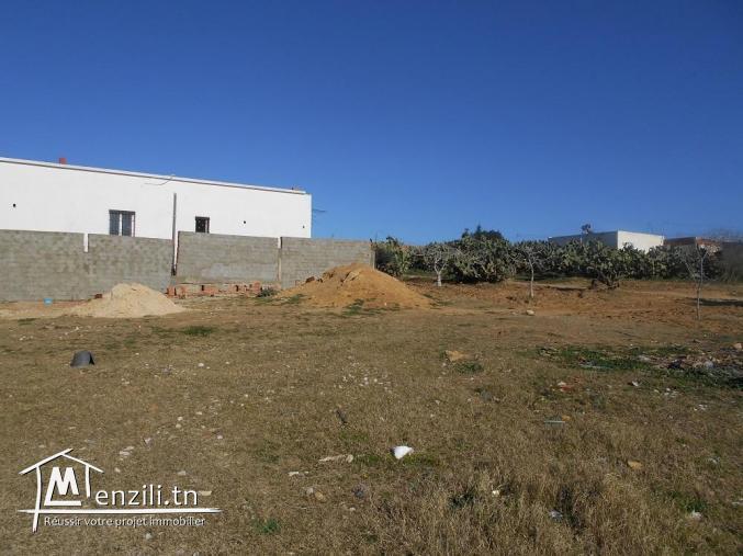 A v un lot de terrain à menchar route sidi jdidi hammamet 23/3