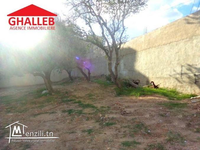 a vendre lot de terrain à hammamet nord 23/3