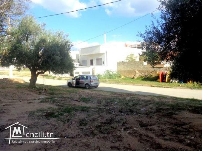 a vendre lot de terrain à hammamet nord 23/3