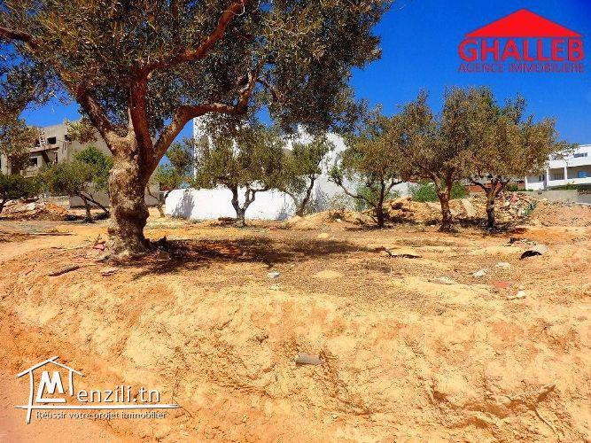 أرض بالمرازقة على الطريق 500م 23/3