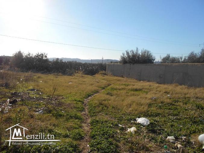 A v un lot de terrain à menchar route sidi jdidi hammamet 23/03