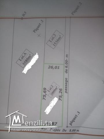 Terrain nu tres prauche du port financier  a RAOUED IRIANA