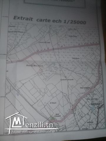 Terrain nu tres prauche du port financier  a RAOUED IRIANA