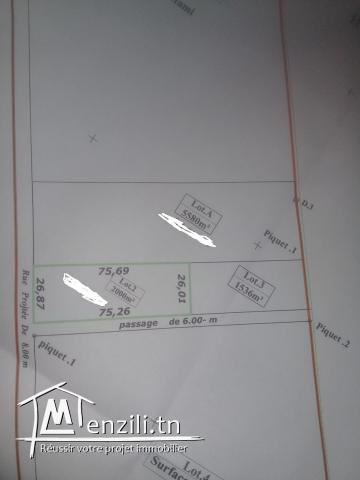 Terrain nu tres prauche du port financier  a RAOUED IRIANA