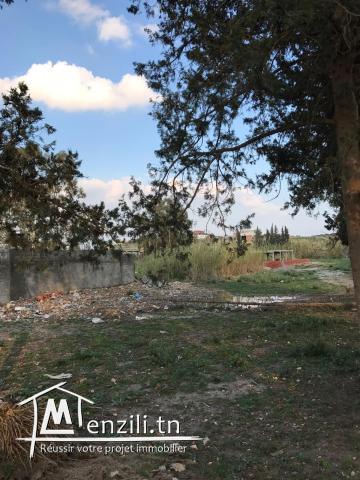 Terrain à Zaghouan ville