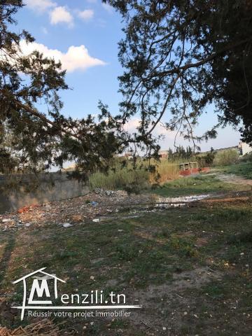 Terrain à Zaghouan ville