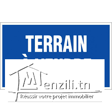 Un terrain de 6500 m² à 40 MDT à Lenderia