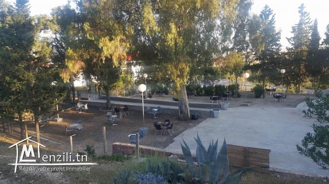 a vendre café fond et mur très bien équipé