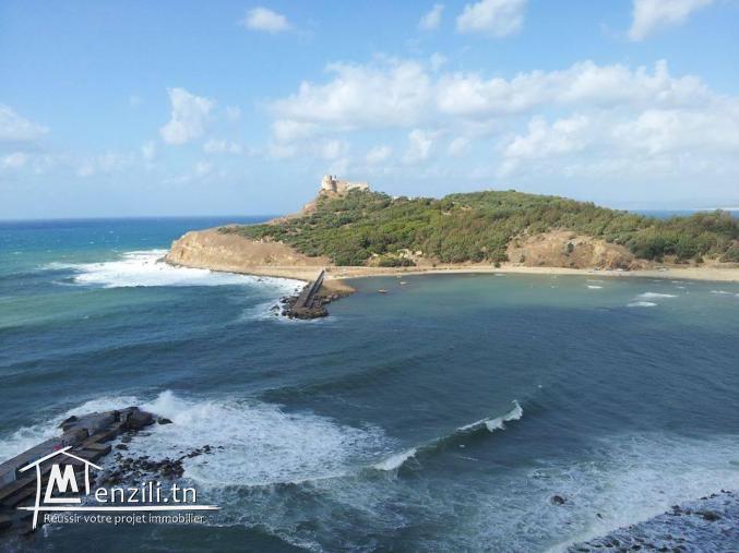 A VENDRE TERRAIN A " TABARKA " 1240m²  VUE SUR MER ET SUR LE FORT