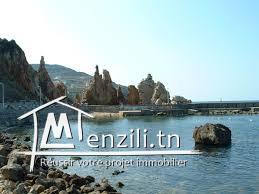 A VENDRE TERRAIN A " TABARKA " 1240m²  VUE SUR MER ET SUR LE FORT