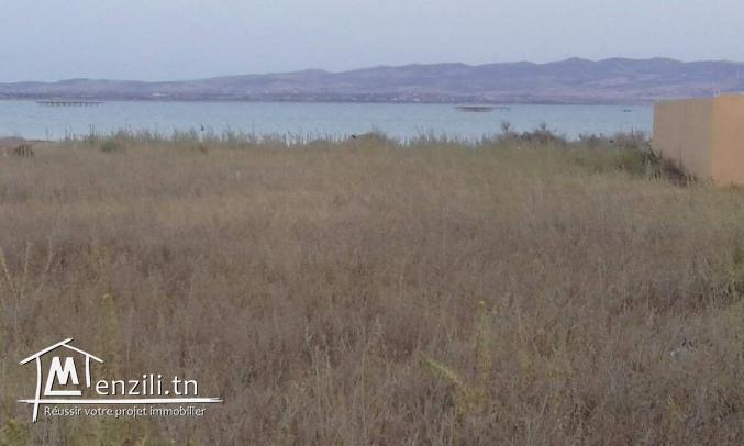 Opportunité à saisir