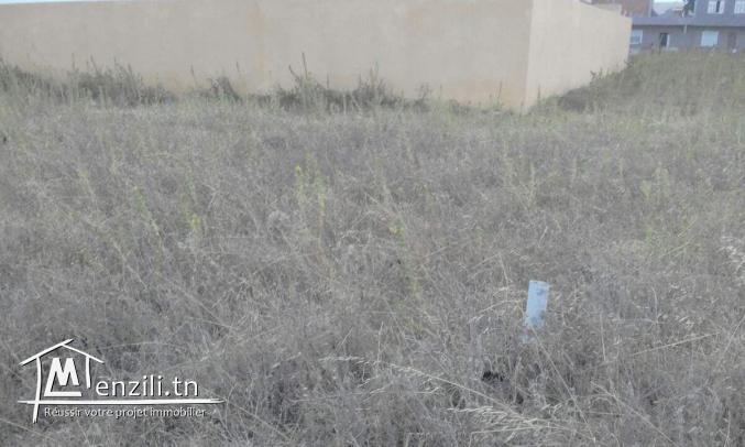 Opportunité à saisir