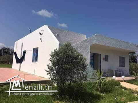 ferme a vendre de 3,5 hectares à hawaria