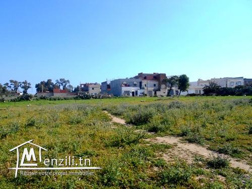 163m² à Nabeul AD