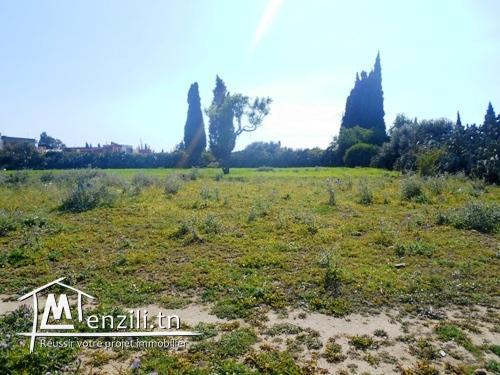 163m² à Nabeul AD
