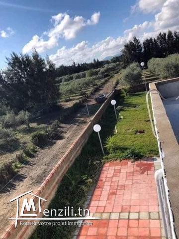 ferme a vendre de 3,5 hectares à hawaria