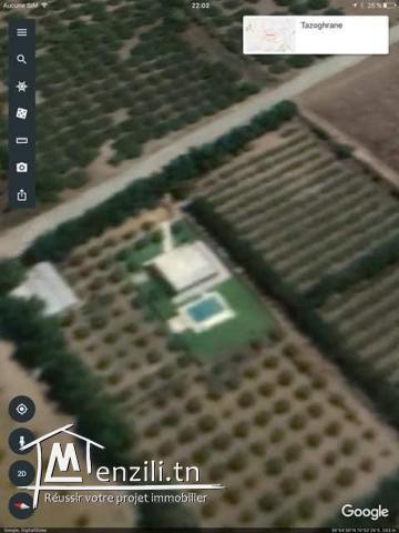 ferme a vendre de 3,5 hectares à hawaria