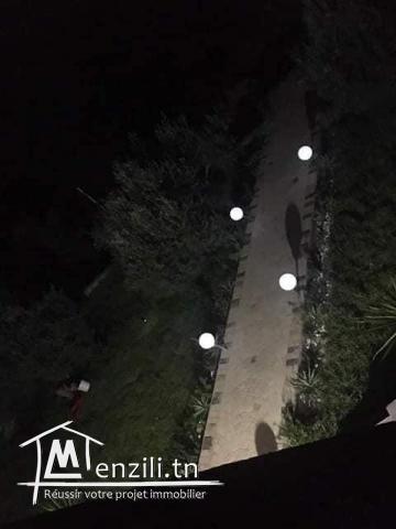 ferme a vendre de 3,5 hectares à hawaria