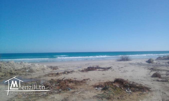 une maison neuve avec un petit jardin à Ezzahra Kelibia