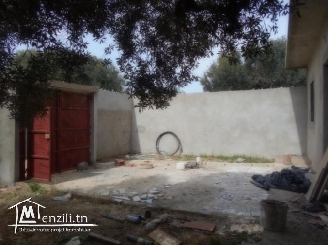 AV une maison avec jardin + garage  a hammamet sud  G
