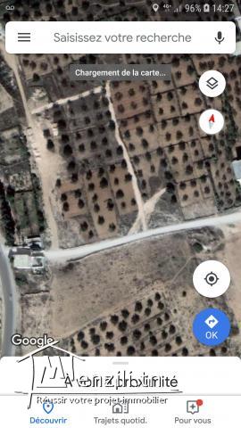 Terrain a vendre près de jardin fleuri akouda