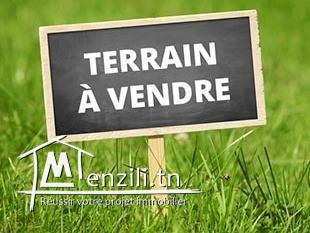 terrain de 2 Hectare a sidi thabet