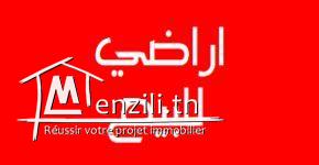 TERRAIN DE 13 HECTARES KALLAT LANDALOUS