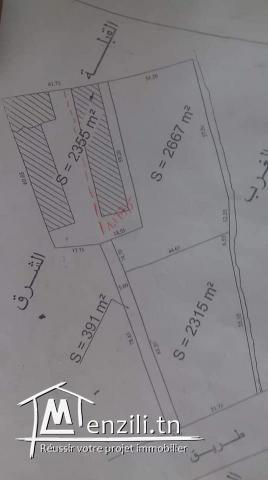terrain a vendre à kelibia 