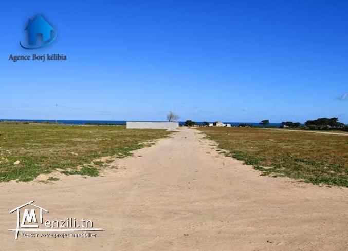Terrain à vendre à plage dar allouch 95885014