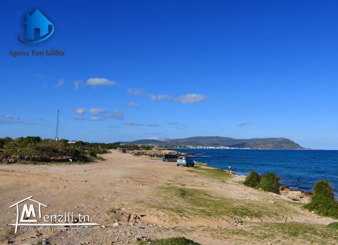Terrain à vendre à plage dar allouch 95885014