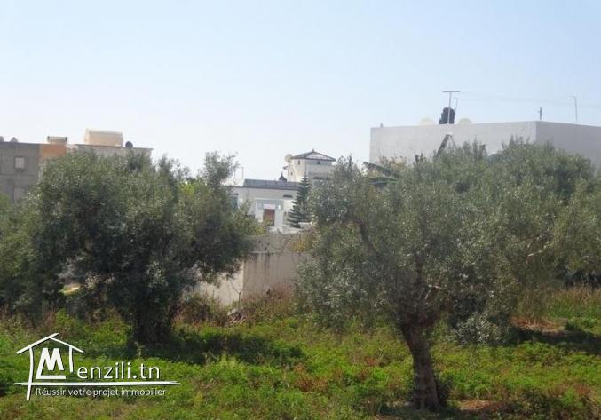 Av un lot de terrain proche de la plage de hammamet 10-4