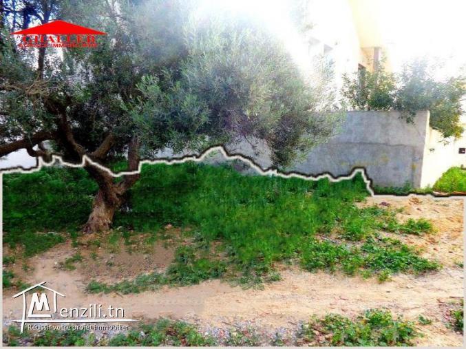 a vendre lot de terrain à birbouragba 10min de hammamet 10-4