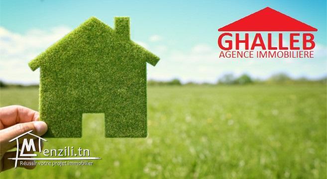 320m² viabilisé sur la route AD