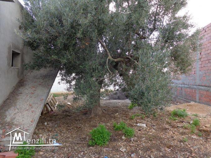 a hammamet sud une maison inachevée a vendre  g