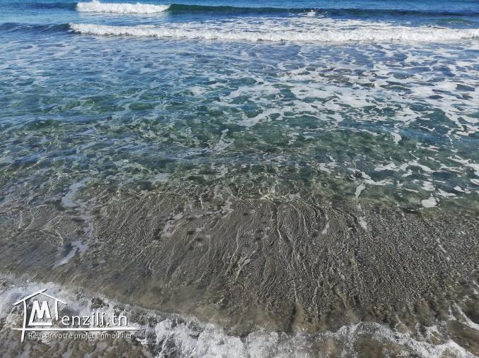 فرصة بيع في الهوارية :  أراضي تبعد 700 م على البحر