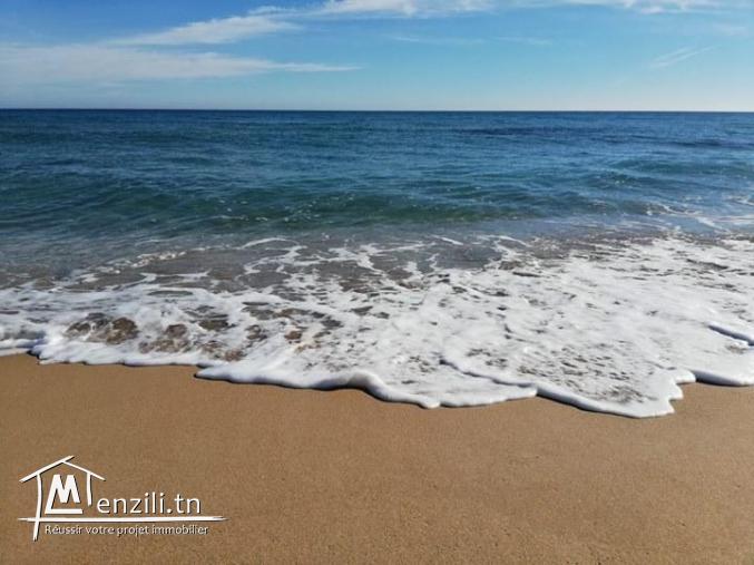 فرصة بيع في الهوارية :  أراضي تبعد 700 م على البحر