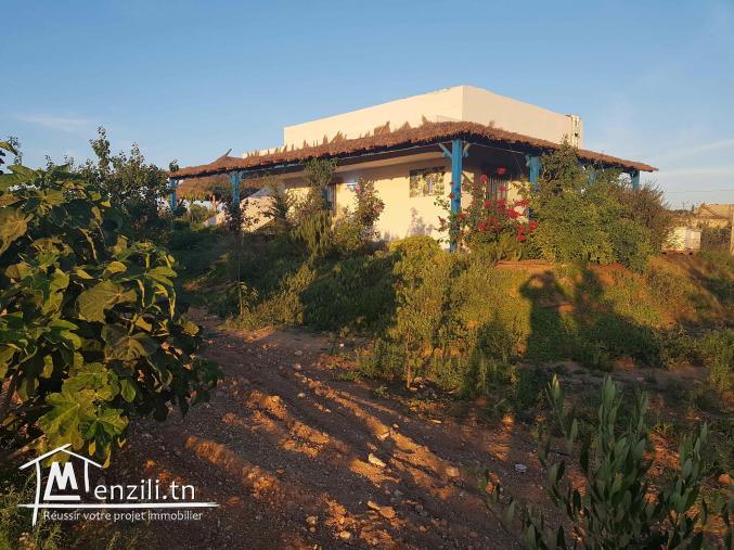 Ferme à Sidi Bou Ali