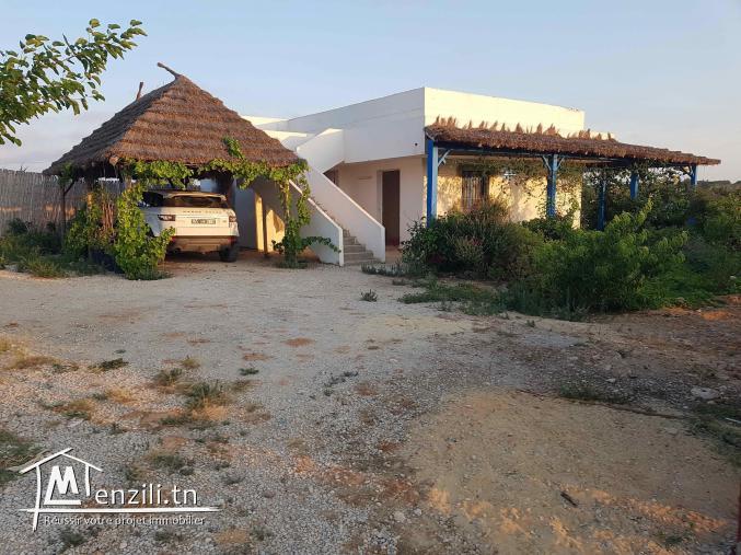 Ferme à Sidi Bou Ali
