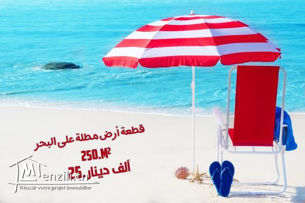 terrain a vendre à 400m de la mer