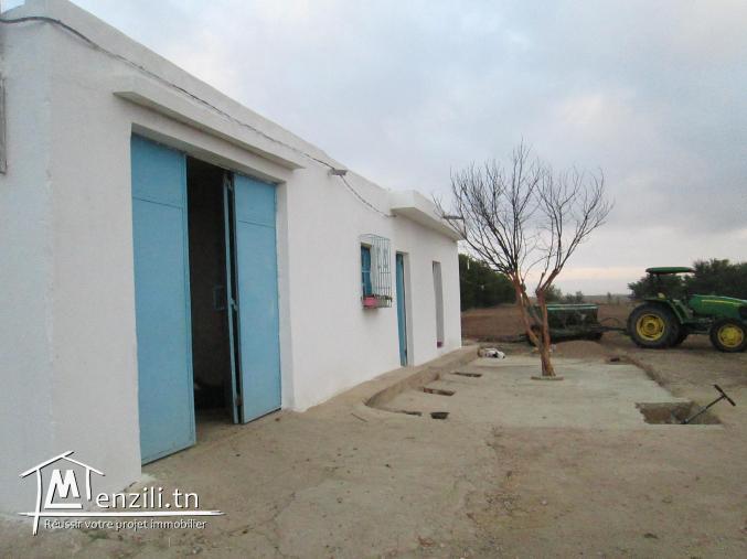 Ferme agricole a El Houdh, Tajerouine